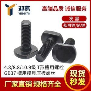 T形槽用螺栓4.8/8.8/10.9级发黑镀锌T型螺杆槽用模具压板螺丝GB37