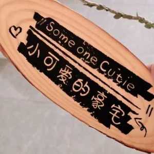 小可爱刻字门牌 猫房装饰牌 猫窝年轮木片 猫屋吊牌 宠物房子挂牌