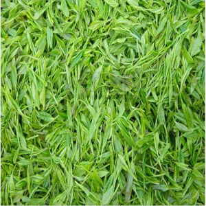 长阳清江画廊高山原生态无污染纯绿色保健养生绿茶250克包邮