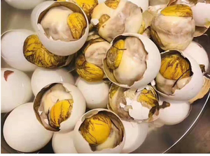 15天活珠子鸡胚