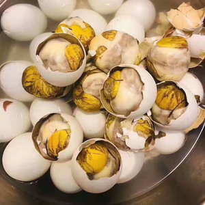 生鲜活珠子毛鸡蛋探花蛋凤胚蛋13天新鲜现发20枚