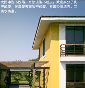 外墙乳胶漆室外防水防晒涂料家用毛胚房户外墙面耐久自刷彩色油漆