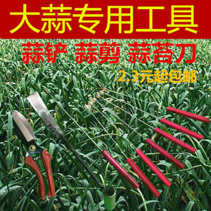 抽蒜苔的工具