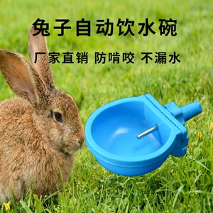 兔子饮水器兔用自动养殖宠物水嘴饮水碗挂式喂水器兔专用喝水神器