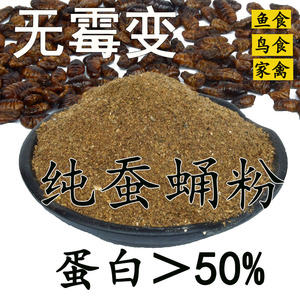 纯蚕蛹粉钓鱼用纯正野钓鲫鱼特浓腥鱼饵蝉蛹粉鸟食秋冬季蚕蛹干