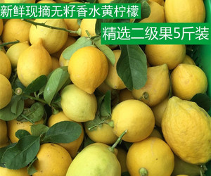广东香水柠檬新鲜皮薄多汁无籽无核二级黄柠檬西柠现摘奶茶店5斤