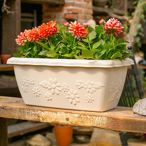 爱丽思花盆塑料大号小多肉植物加厚仿陶瓷树脂种菜爱丽丝长方形素