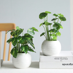 仿真绿植盆景室内盆栽办公室小摆件客厅办公桌面装饰好养活假植物