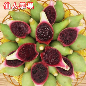 海南可食用野生仙人掌果新鲜2斤红心红肉热带古怪稀奇的水果云南5