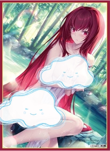 c94 会场限定 fgo 斯卡哈 师匠 泳装 光崎  单张 卡套