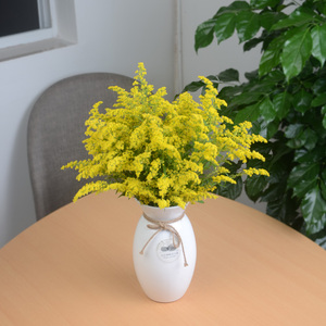 云南黄英黄莺草配草配花鲜花花束搭配鲜切花速递空运包邮