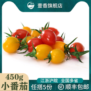 壹香 红黄小番茄450g 新鲜圣女果彩色小西红柿樱桃番茄沙拉食材