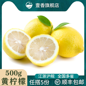 新鲜黄柠檬500g 四川安岳香水果新鲜柠檬奶茶店专用榨汁泡茶调味