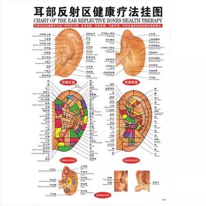 耳穴挂图 耳朵穴位图经络图 耳部穴位图解穴位图片 耳科理疗