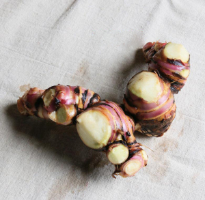 蕉芋广东特产新鲜美人蕉藕姜芋头旱藕木芋野生芭蕉芋野菜粗粮煲汤