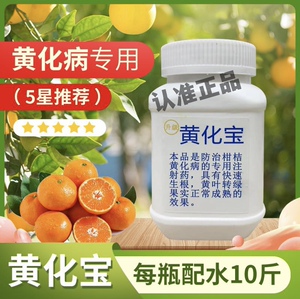 黄化宝黄龙病黄化病黄化一号专用泰国进口红黑胶囊粉柑橘柚子打针