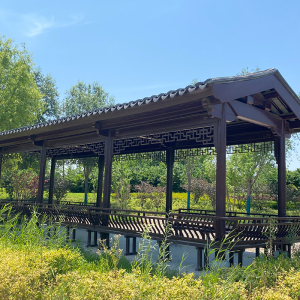 户外葡萄架防腐木文化长廊凉亭宣传栏景观亭过道庭院校园木屋凉亭