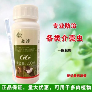 冬天花花进屋后有小黑飞_糖水吸引小黑飞_杀小黑飞特效药