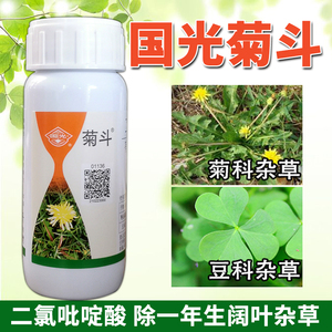 凡诚唯恋淘宝国光菊斗 禾本科草坪 防除恶性阔叶杂草 除蒲公英