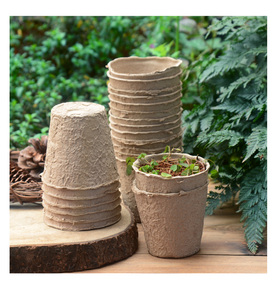 一次性纸浆育苗杯可降解圆形种植蔬菜杯