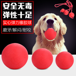 宠物狗狗玩具球耐幼犬咬磨牙橡胶实心穿绳训练球逗狗弹力球小红球