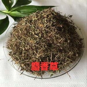 麝香中药材正品