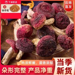 云南当季精选新鲜红菇干货500g野生无硫营养菌菇食用煲汤食材特产