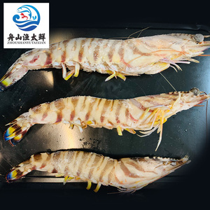 9-10头/斤舟山野生九节虾基围虾大虾鲜活速冻海虾竹节虾斑节虾
