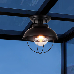 美式玻璃阳光房专用灯雨棚阳光棚露台阳台顶灯户外室外防水吸顶灯