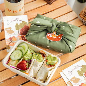 春游便当盒一次性