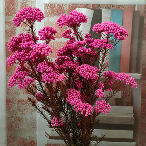 永生花小米花干花花束森系客厅家居装饰摆设拍摄道具diy花材