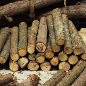 篝火干柴硬杂木柴火户外烧烤野炊露营烧火柴硬木耐烧杉树木柴木头