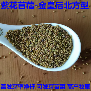 紫花苜蓿草种子 食用芽苗菜三叶草 饲料金花菜草头四季牧草种籽