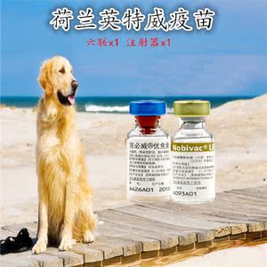 荷兰英特威犬用6联/六联疫苗 宠物狗狗疫苗小狗育苗钩端螺旋体苗