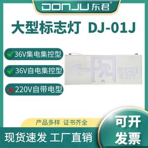 广东东君照明智能大型疏散指示标志灯楼层显示A型36V集电型DJ-01J