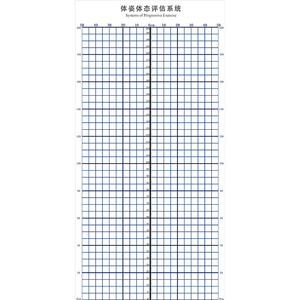 挂式表背景墙表评估私教贴图体位身体健身瑜伽体态评估体测姿势