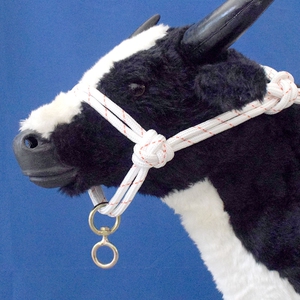 养牛笼头绳子 牛笼头套拴牛牛缰绳牛笼头 牛用栓牛绳子养牛场用品