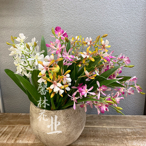 迷你万代兰仿真假花室内客厅插花摆件装饰花石斛绢花绿植卡特兰