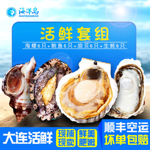 海洋岛大连海螺6只鲍鱼6只扇贝6只生蚝6鲜活海鲜水产礼盒包邮