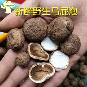 221人付款淘宝马勃 马勃菌 灰菇 牛屎菇 灰包 马粪包 马屁勃 500克