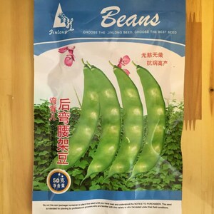 后弯腰架豆种子新籽东北油豆角种子北斗弯开锅烂面豆角挤豆几种籽