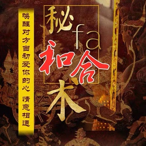 求姻缘符桃花运情侣复合夫妻和睦和合术婚姻感情恋爱分手挽回爱情