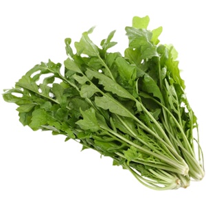 秦岭陕西野生荠菜野菜新鲜荠荠菜现挖地齐菜饺子馅非冷冻蔬菜