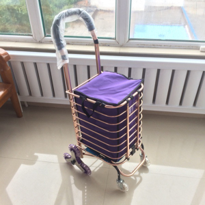 拉拉车子手拉车货买菜车托车折叠家用买菜可拉买菜小拉车可以水桶