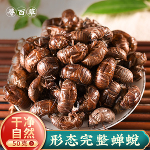 寻百草蝉蜕蝉脱中药蝉壳蝉衣蝉皮蝉退虫退知了壳皮50g非500g
