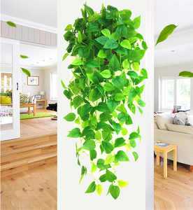 仿真植物吊篮餐厅墙面绿萝藤装饰品壁挂塑料叶墙壁上遮挡瑕疵挂件