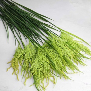 仿真稻谷假水稻麦穗稻穗麦子小麦舞蹈道具花五谷丰登农作物装饰品