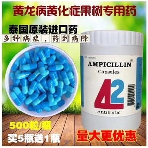 泰国42蓝色胶囊农用四环素柑橘脐橙桔柚黄化症枣疯病黄龙病专用药