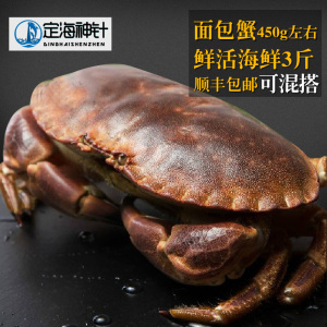 面包蟹鲜活 满黄 进口大面包蟹 鲜活发货 700左右克/只
