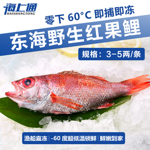 [海上通] 野生红果鲤鱼黑喉鱼超低温海鲜刺身 3-5两/条3斤起卖